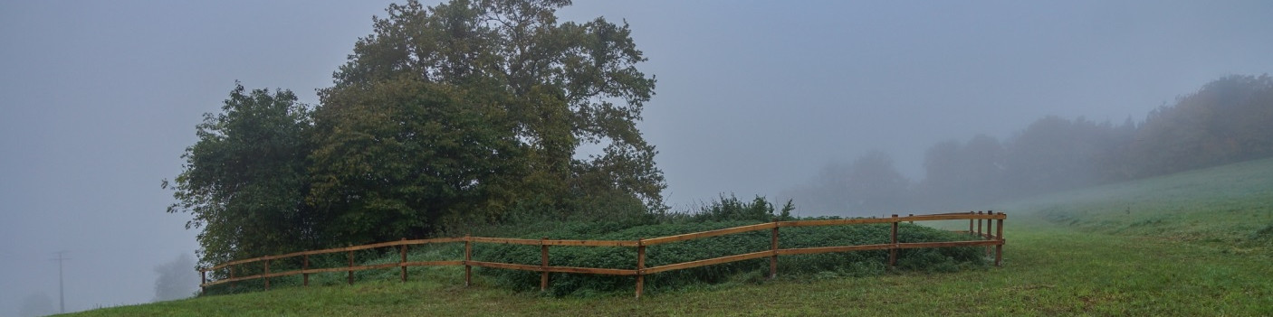 Ein Holzzaun umgibt eine Gehölzinsel, in der sich eine ehemalige Bunkeranlage befindet.