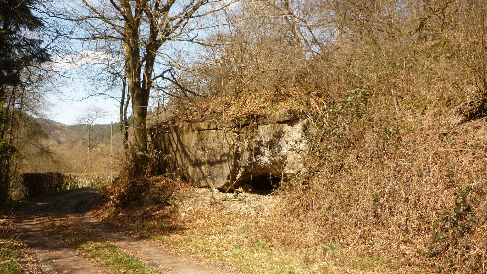 Mauerüberrest an einem Weg