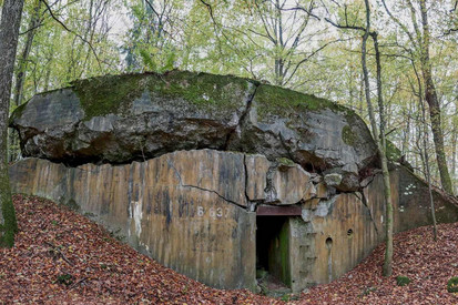 Überwucherte Bunkeranlage