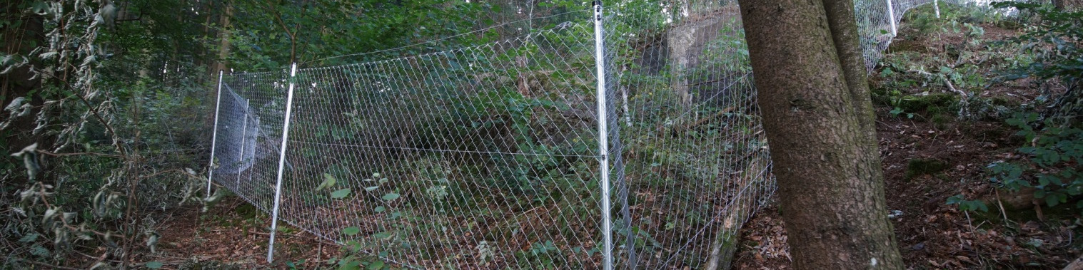 Ein Maschendrahtzaun sichert eine Bunkerruine im Wald am Hang.