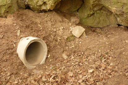 Eine Betonröhre in das Bunkerinneren ermöglicht den Zugang für Tiere.
