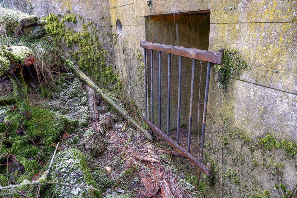 Absperrung eines Bunkereinganges mit einem Stahlgitter. Die Öffnungen sind ausreichend für kleine Tiere.